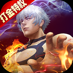 拳皇世界（送打金特权）