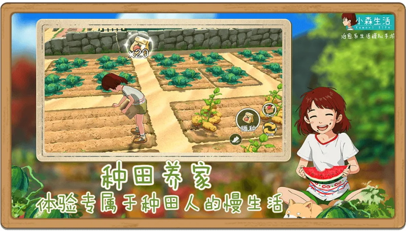 小森生活大图（一）