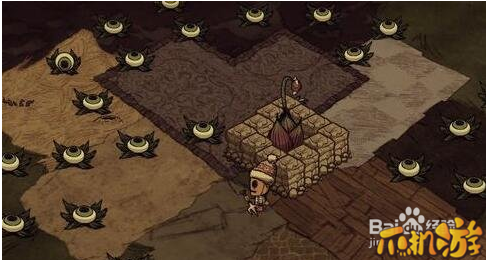 饥荒眼球草怎么打