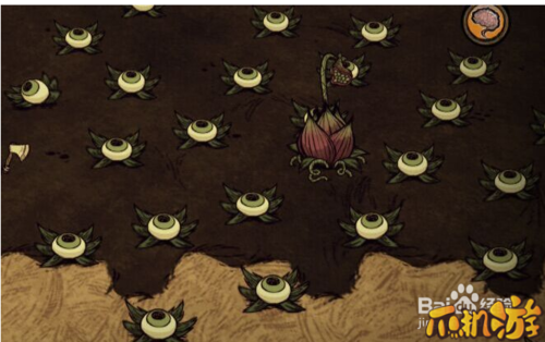 饥荒眼球草怎么打