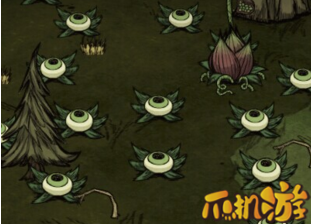 饥荒眼球草怎么打