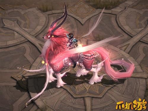 镇魔曲手游御灵要带什么宠物 御灵选哪个宠物攻略