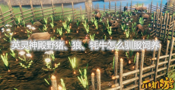 英灵神殿野猪、狼、牦牛怎么驯服饲养