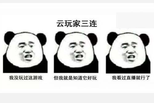 云玩家什么意思_云玩家什么梗-爪机游